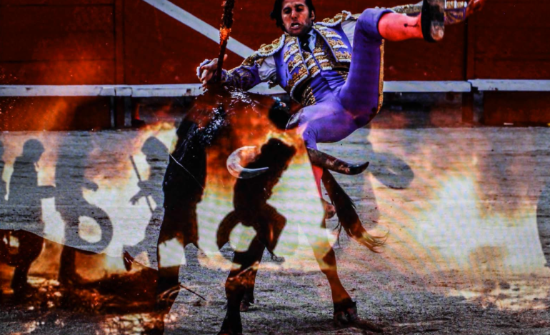 Vincent Falk Screen Puzzle: Ukraine Corrida